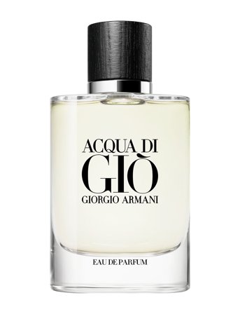 Armani Giorgio Armani Acqua Di Giò Eau De Parfum 50Ml - Nude - 50 ML
