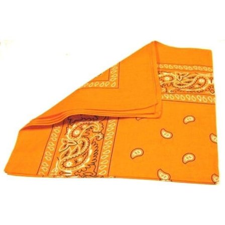 Paisley Bandana flere farger