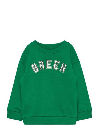 Green Svetari Collegepaita Vihreä Mango