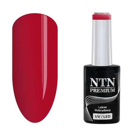NTN Premium - Gel polish - Celebration - Nr168 - 5g UV gel/LED