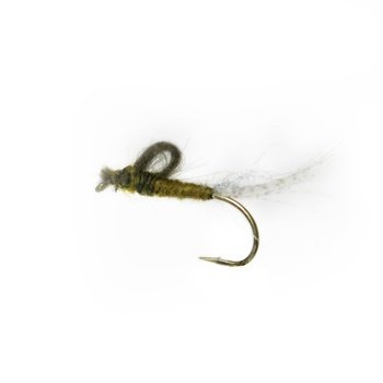 CDC Emerger # 10