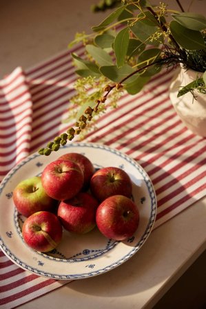 Cellbes of Sweden - Vevet, stripete bordløper i rød / hvit / stripete i størrelse