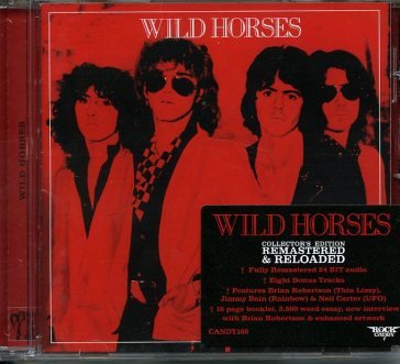 Wild horses Wild Horses