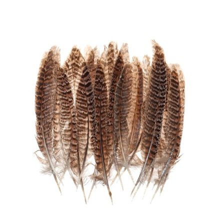 Fjær Halefjær 10-15CM 10-15CM