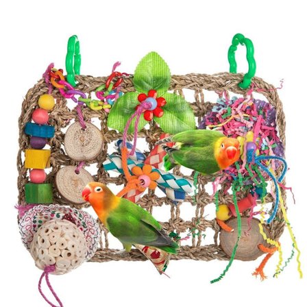 Fugleleker Papegøye Foageringsleker Hengende Matte