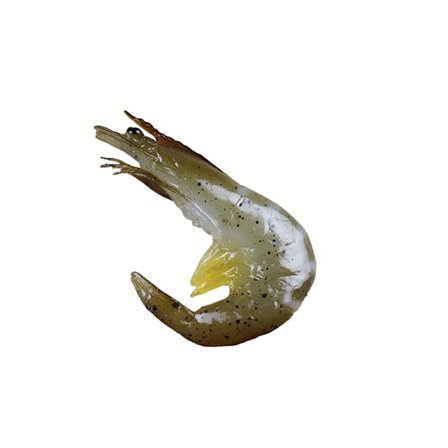 Realistisk rejerfigur, PVC-havlivsmodel, havslegetøj til børn, havdyrsdekoration, pædagogisk havsfigur til drenge og piger