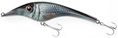 Zalt 20 cm, 119g Sinking - Roach (real)