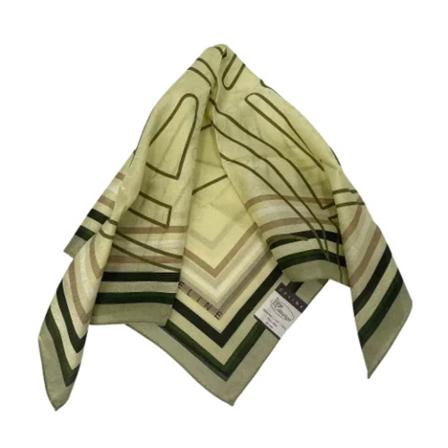 Celine Vintage Pre-owned Stof trklaeder Grøn, Dame Vintage Accessories, Størrelse: ONE Size