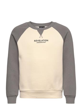 Nlmtreams Ls Bru O-Neck Sweat Grey LMTD