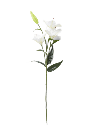 Åhléns Home Konstväxt lilja Blommor & växter Vit ONESIZE