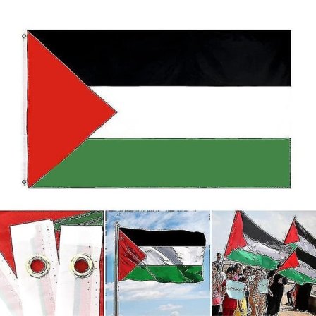 Stor palestinsk flagg Palestina flagg 150 cm Palestina flagg vis støtte for Palestina fredsflagg Lettvekt Holdbar (DP)