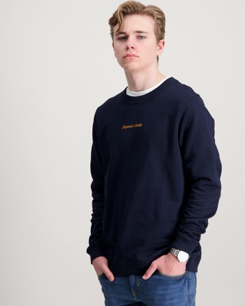 Jack & Jones JORNORREBRO EMB SWEAT CREW NOOS JNR Blå Genser Gutt - Kids Brand Store