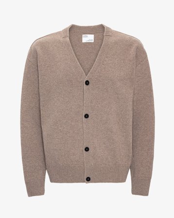 Merino Wool V-Neck Cardigan - Warm Taupe - Male - XL