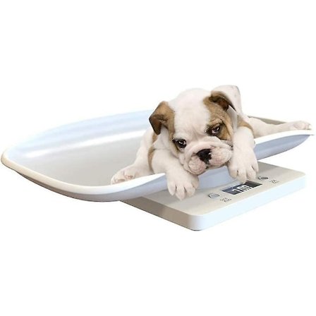 Multifunktionell digital husdjursvåg Stor LCD-skärm elektronisk våg Vikt 10 kg Kapacitet Husdjur - Perfet-FA5-