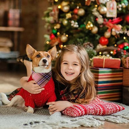 Bandana för hundhuvuddukar Hundhalsduk Triangulär halsduk