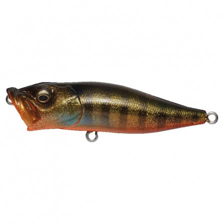 Megabass PopX - GLX - Ito Gill