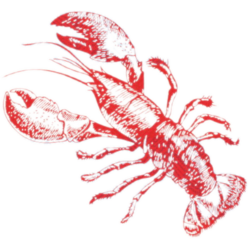 Servett Bio Dunisoft Sea Delights 40x40cm