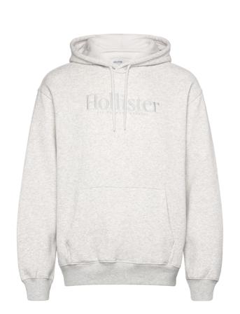 Hco. Guys Sweatshirts Hollister Grey