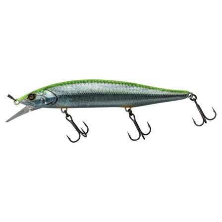 Jackall RV Minnow SP 11cm, 16,3g - RT Visible Roach