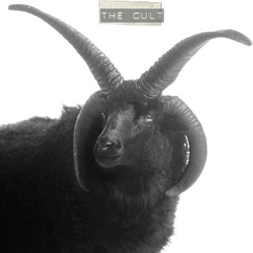 The cult The Cult