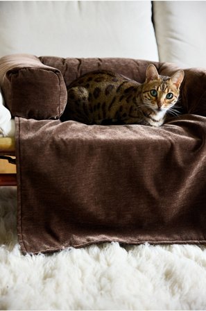 Jotex - Hunde-/katteseng gråbrun - MEDFORD - Kjøp Hundeseng/katteseng hos Jotex