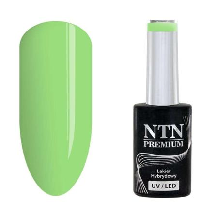 NTN Premium - Gellack - Gossip Girl - Nr07 - 5g UV-gel/LED Grön