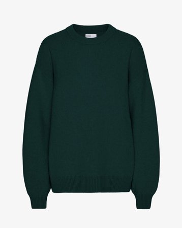 Oversized Merino Wool Crew - Emerald Green - Female - L