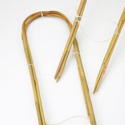 Nelson Garden 5957 Bambusbue 3-pakning 16 x 60 cm, Avling