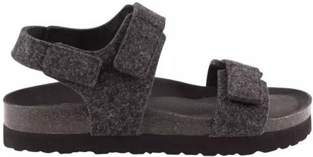 Shepherd of Sweden Shepherd M's Lukas Asphalt