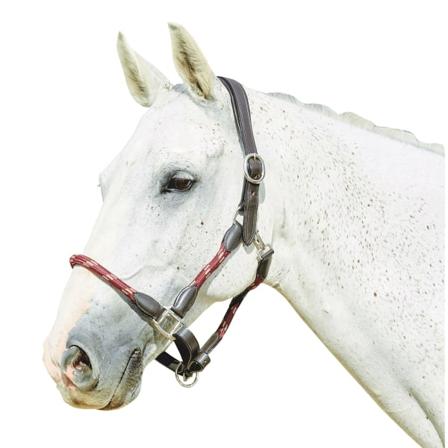 Kincade Läderrep Huvudkrage Ponny Vinröd/brun