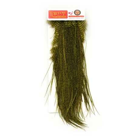 Whiting Bronze Saddle Grizzly dyed Olive