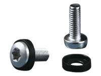 RITTAL EL Torx-ruuvi M5x16 mm