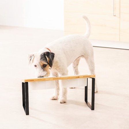 Dubbla hundskålar och stativ - Set med 2 skålar för mat och vatten - Höjd matstation för katter eller hundar