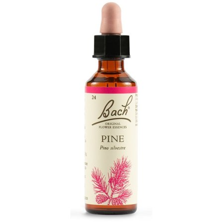 Pine Bach Orig 20ml
