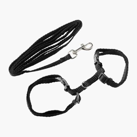 Promenadsele till katt