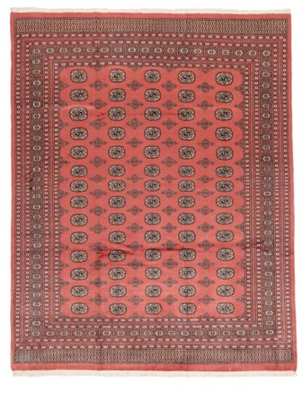 244X307 Tapis D'orient Pakistan Boukhara 2Ply Rouge Foncé/Rouge (Laine, Pakistan)