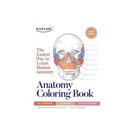 Anatomy Coloring Book with 450+ Realistic Medical Illustrations with Quizzes for Each (häftad, eng)