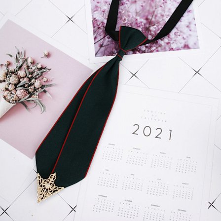 Pojk slips - Justerbara blixtlås slipsar för barn