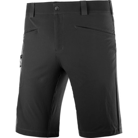 Salomon Men's Wayfarer Shorts Men hiking shorts Black 52