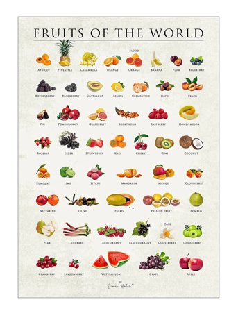Poster & Frame Simon Holst - Fruits Of The World - Multi/patterned - 50X70CM