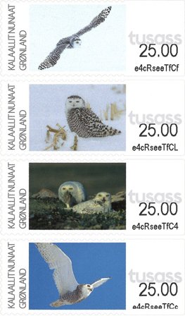 Grønland - Frankeringsmærker 2025: Sneugler - Postfrisk sæt 4v