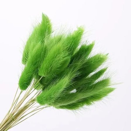 30 stk/lot naturlige tørkede blomster kaninhale gress bunt fargerike Lagurus Ovatus ekte blomsterbukett for hjem bryllup dekorasjon