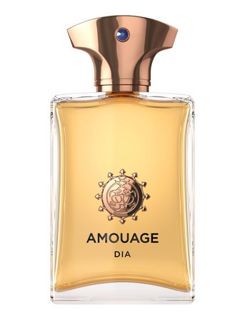 Amouage Dia Man Edp 100 Ml - Nude - 100 ml