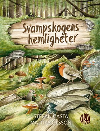 Svampskogens hemligheter - Bok av Stefan Casta & Mattias Olsson - Inbunden
