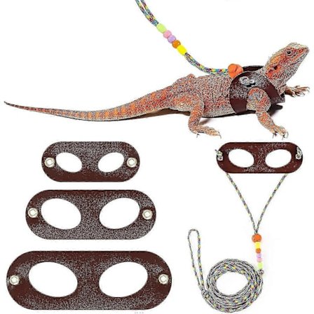 Skægget Drage Øgle Snor Sele, 4 Størrelses Pakke Justerbar Lille Dyresele til Krybdyr og Sma
