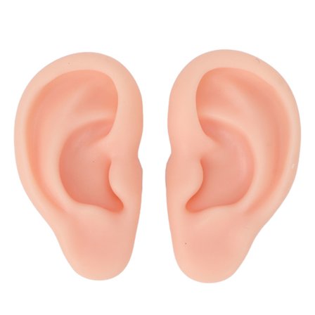 Simuleringsøremodell, fleksibelt falskt øre laget av myk silikon, realistiske kroppsdeler med menneskelig øremodelldesign for undervisningsverktøy, 