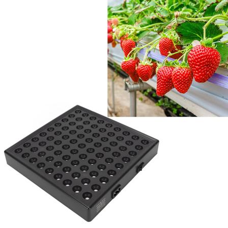 LED Vekstlys Full Spectrum Høy Effektivitet Lysende Plantevekstlampe for Innendørs Frøplanter 85‐265V EU Plugg 81 Perle(50W)