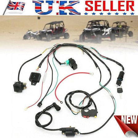 Ledningsnät vävstol magnetspole CDI Assy 50cc 70cc 90cc 110cc fyrhjuling ATV UK