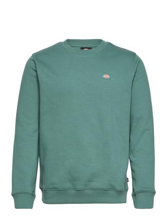 Oakport Sweatshirt Sweat-shirt Tröja Grön Dickies
