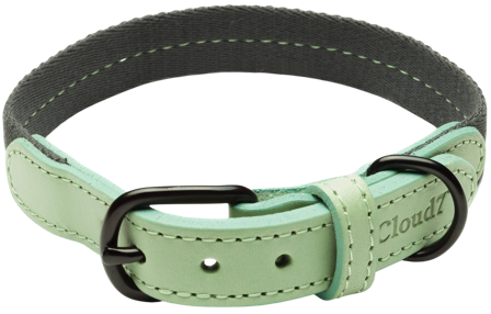 Cloud7 Dog Collar XS-M Madeira Mint